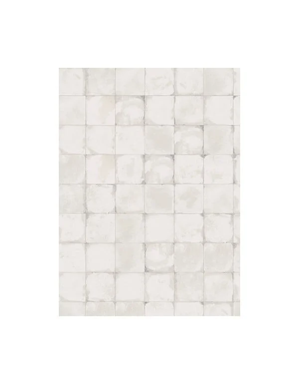 Porcelanato Portinari Timeworn WH LUX 20x20 cm